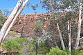 Mutawintji and river red gums