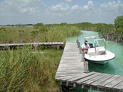 Meksika - Sian Ka'an, Boat Tour.JPG