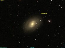 NGC 2950 SDSS.jpg