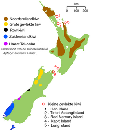 NZ-kiwimap nl.PNG