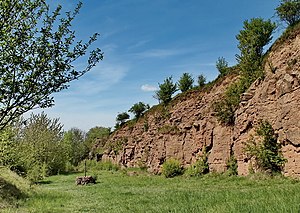 Outcrop in the former quarry