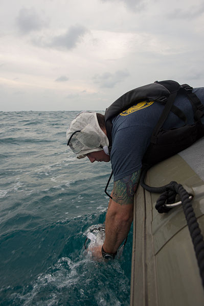 File:Navy Divers support AirAsia Flight QZ8501 search efforts 150104-N-DC018-195.jpg