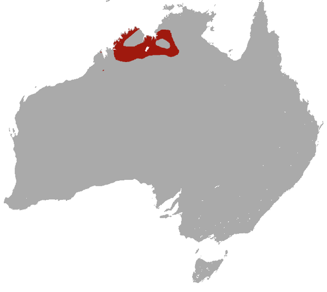 File:Ningbing False Antechinus area.png