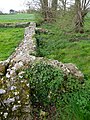 The medieval Faversham Stone Chapel. [245]