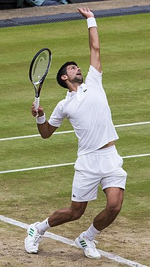 Novak Djokovic Wimbledon 2017.jpg