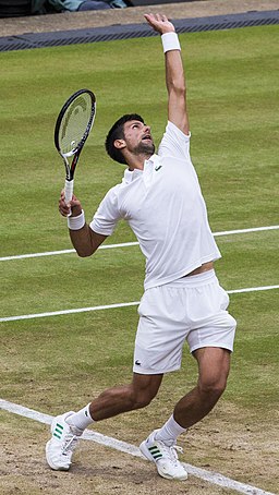 Novak Djokovic Wimbledon 2017