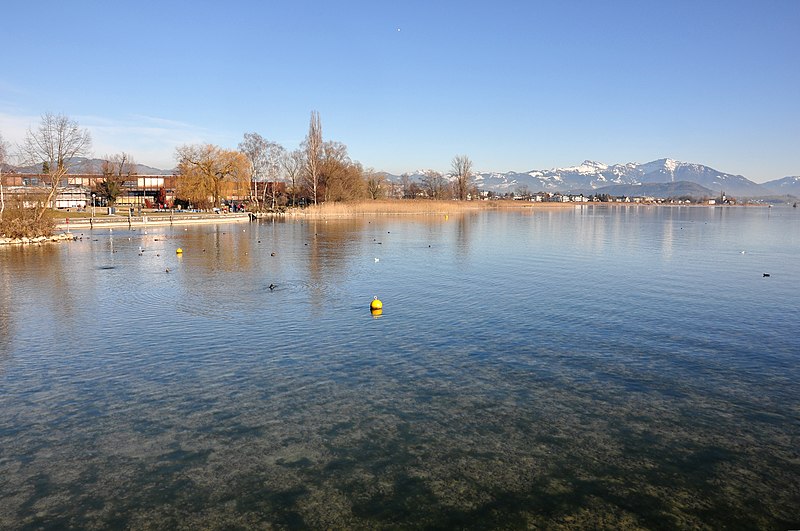 File:Obersee - Rapperswil-Jona - Holzbrücke IMG 2883.JPG