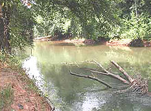 Ocmulgee River.jpg