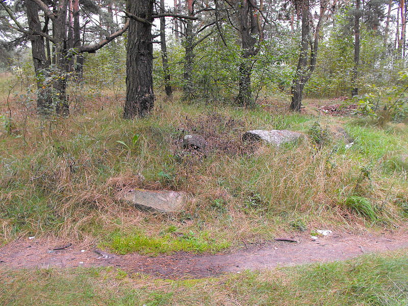 File:Old Jewish cemetery Starobin 02 (41).jpg