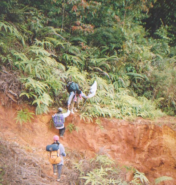 File:Old and rugged path Mount Pueh.jpg