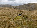 Thumbnail for File:On the flank of Meall Gorm - geograph.org.uk - 5399533.jpg