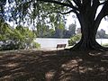 Orleigh Park bordering the Southern riverbank of West End