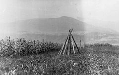 Ostrvi na polju v Bistrici na Zilji 1951.jpg
