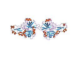 PDB 1eaw EBI.jpg