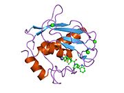 PDB 1jk3 EBI.jpg