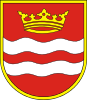Coat of arms of Drzewica