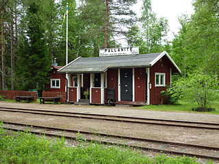 Pallanite station 2010