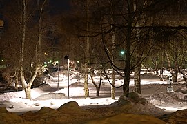 Парк в зимнюю ночь - Panoramio.jpg