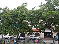 Plaza asin De Borja Park
