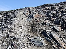 Slates of the Kirk Stile Formation of the Skiddaw Group, exposed just below Skiddaw summit ridge Path up Skiddaw from Carl Side - geograph.org.uk - 393490.jpg