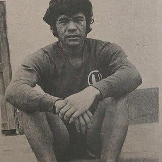 <span class="mw-page-title-main">Percy Vílchez</span> Peruvian footballer (born 1952)