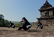 Persaudaraan Setia Hati Terate: Sejarah, Cabang, Pendidikan