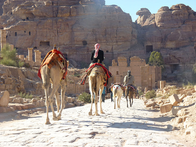 File:Petra - Rent-a-camel (9779205756).jpg