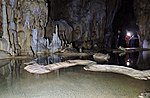 Vignette pour Réserve naturelle spéciale des grottes de Pierasecca