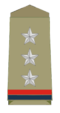 Insignia of a Inspector