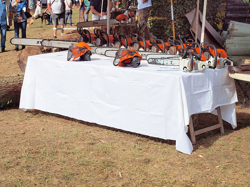 File:Pont-sur-Yonne-FR-89-fête du bois 2021-stand Tanné-02.jpg