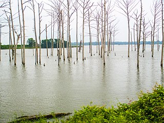 <span class="mw-page-title-main">Poverty Point Reservoir State Park</span> State park in Louisiana, United States