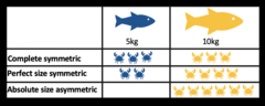 Image 3Table visualising size-symmetric competition, using fish as consumers and crabs as resources. (from Community (ecology))