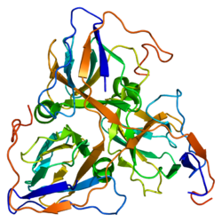 پروتئین DUT PDB 1q5h.png