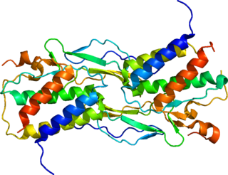 <span class="mw-page-title-main">Interleukin 15</span> Cytokine with structural similarity to Interleukin-2