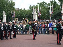 Members of The Royal Regiment of Fusiliers during a changing of the guard ceremony at Buckingham Palace, 2008 RRF Buckingham Palace.JPG