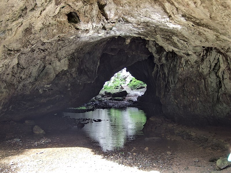 File:Rakov Škocjan - River Rak in cave 01.jpg
