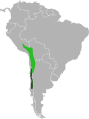 Chinchilla lanigera (tumeroheline) ja Chinchilla chinchilla (heleroheline) kunagine leviala