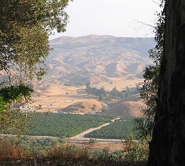 View from Redlands of orange groves in San Timoteo Canyon. Redlands, ca.jpg
