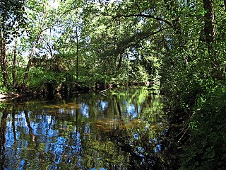 Guadalix Watercourse in Spain