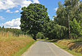 Čeština: Silnice od vesnice Artolec, části Nové Bystřice, k Návarům English: Road to Návary from Artolec, part of Nová Bystřice, Czech Republic.