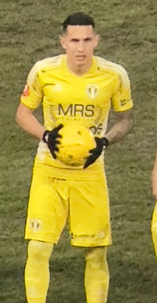 <span class="mw-page-title-main">Robert Moldoveanu</span> Romanian footballer