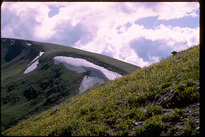 Rocky Mountain National Park ROMO9104.jpg