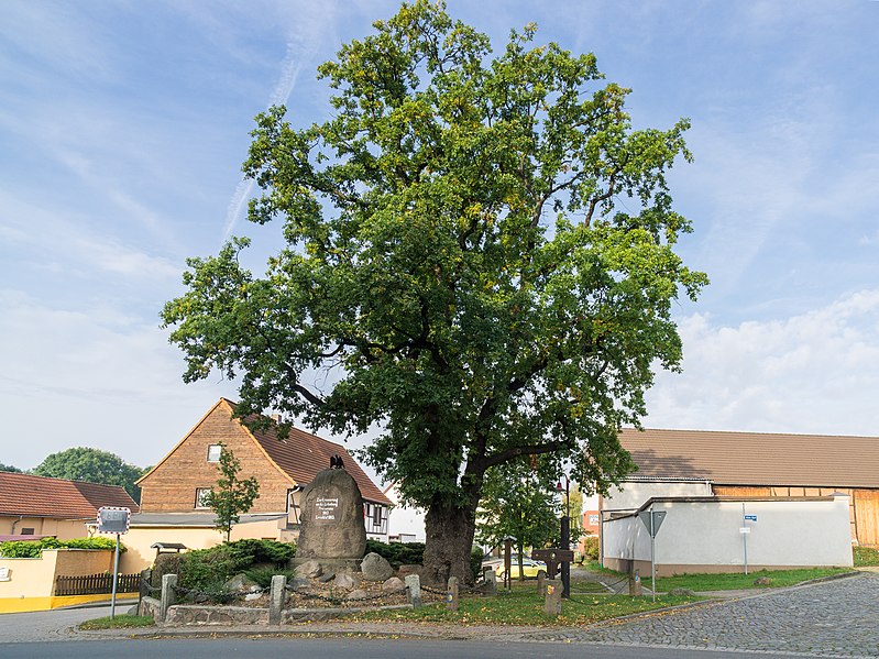 File:Rottmersleben Denkmal 1813.jpg