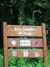 Route entre Coye et les étangs