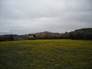 SIDIABDELHALIM,ZAOUIATCHEIKH,MOROCCO.JPG