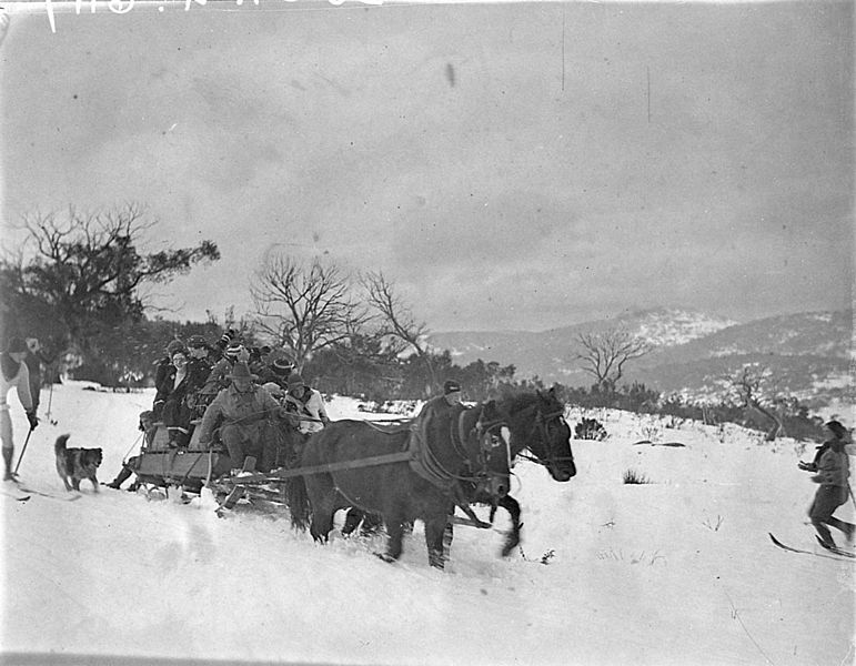 File:SLNSW 10651 Horses pulling the heavily laden sled through the deep snow.jpg