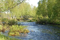 Sanginjoki river Finland.jpg