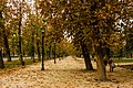 Santiago de Chile na podzim