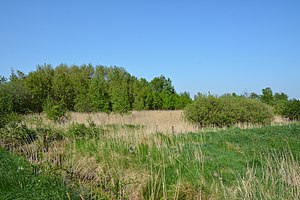 Schleswig-Holstein, Kreis Dithmarschen, Lundener Niederung NIK 2277.jpg