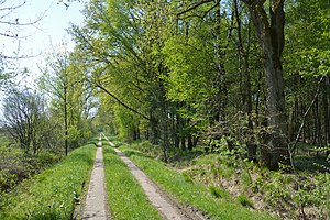 Schleswig-Holstein, Reher, Kratt NIK 0282.JPG